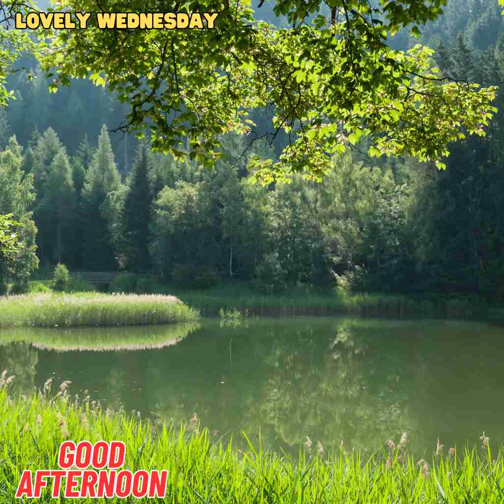 good afternoon wednesday images