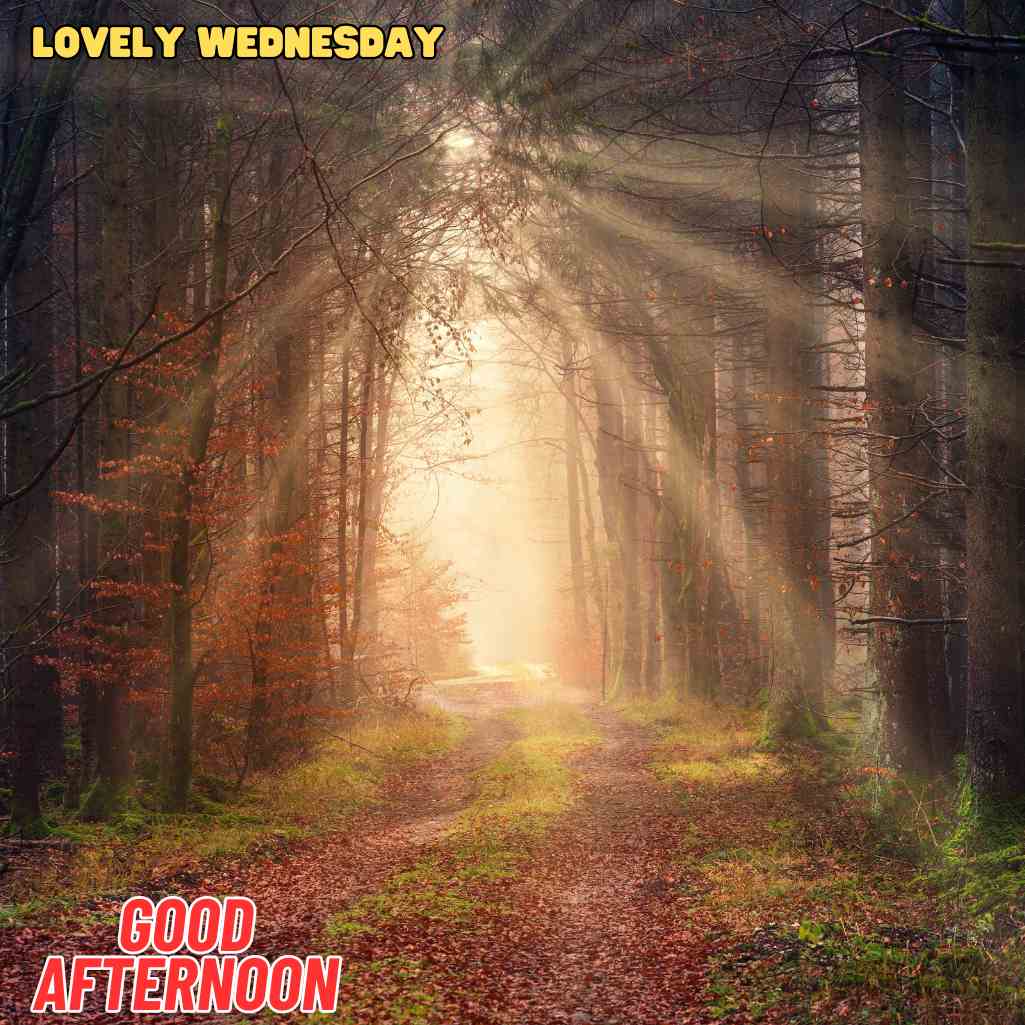 good afternoon wednesday images