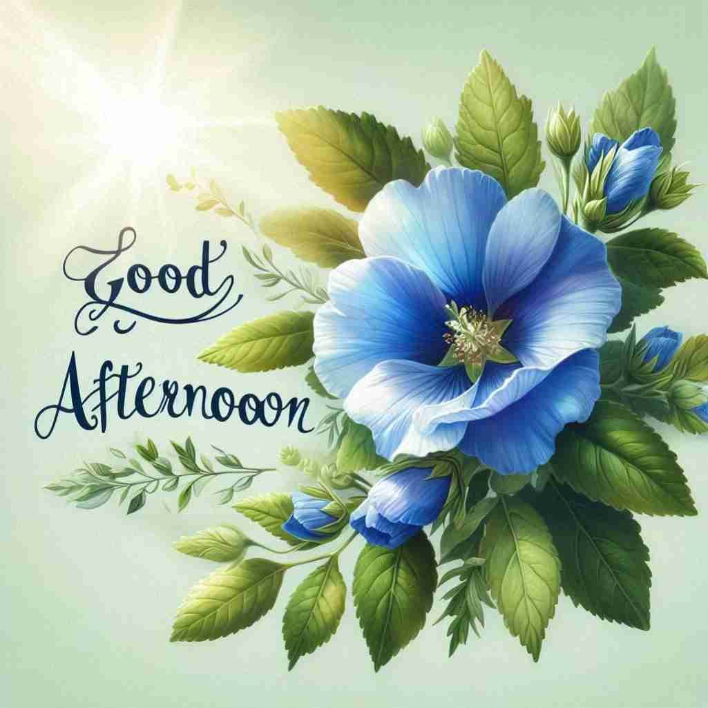 Good Afternoon Blue Flower Images