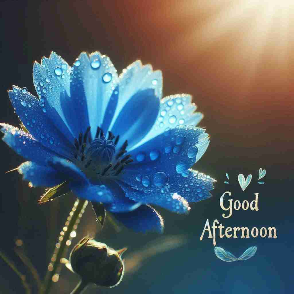 Good Afternoon Blue Flower Images (