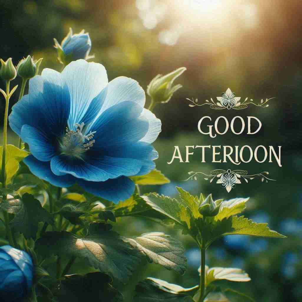 Good Afternoon Blue Flower Images (