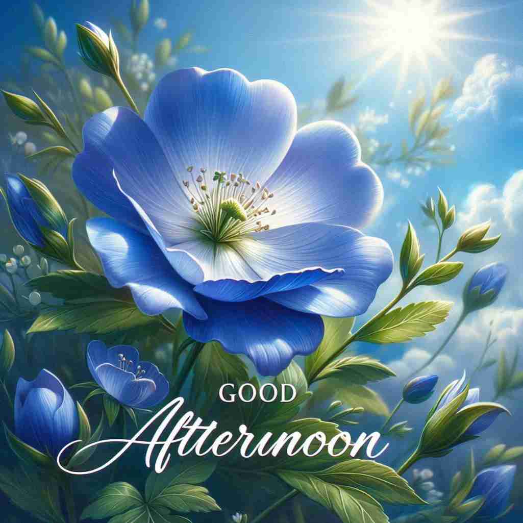 Good Afternoon Blue Flower Images