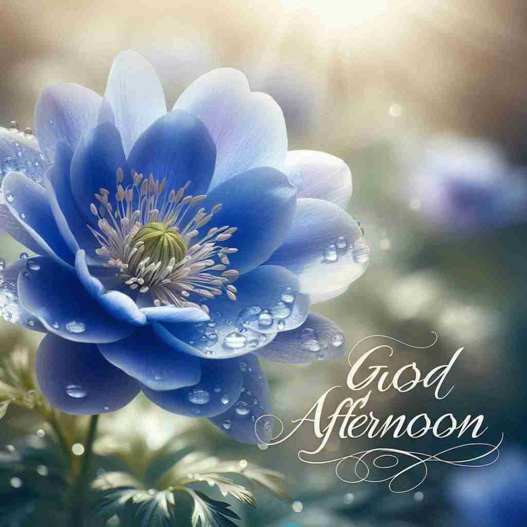 Good Afternoon Blue Flower Images