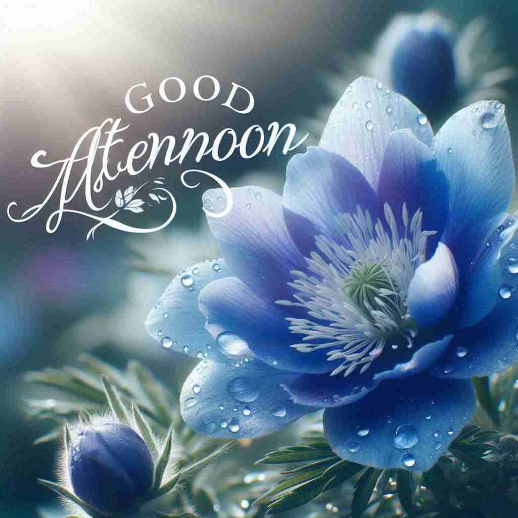 Good Afternoon Blue Flower Images