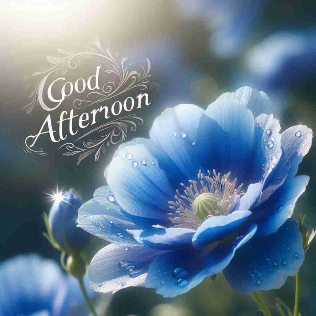 Good Afternoon Blue Flower Images