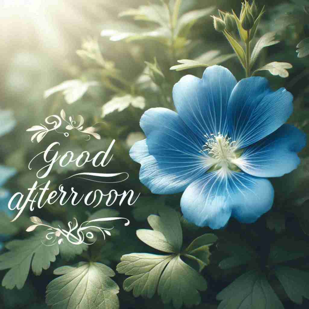 Good Afternoon Blue Flower Images