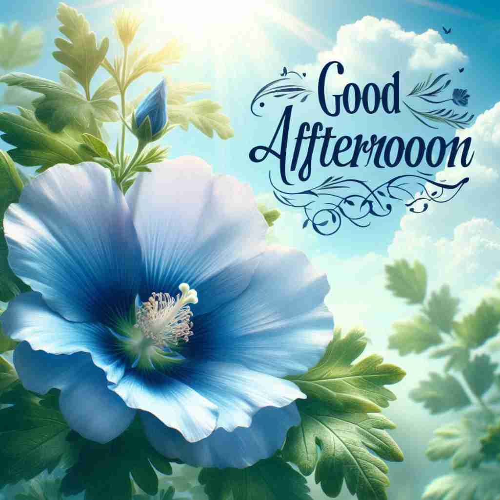 Good Afternoon Blue Flower Images