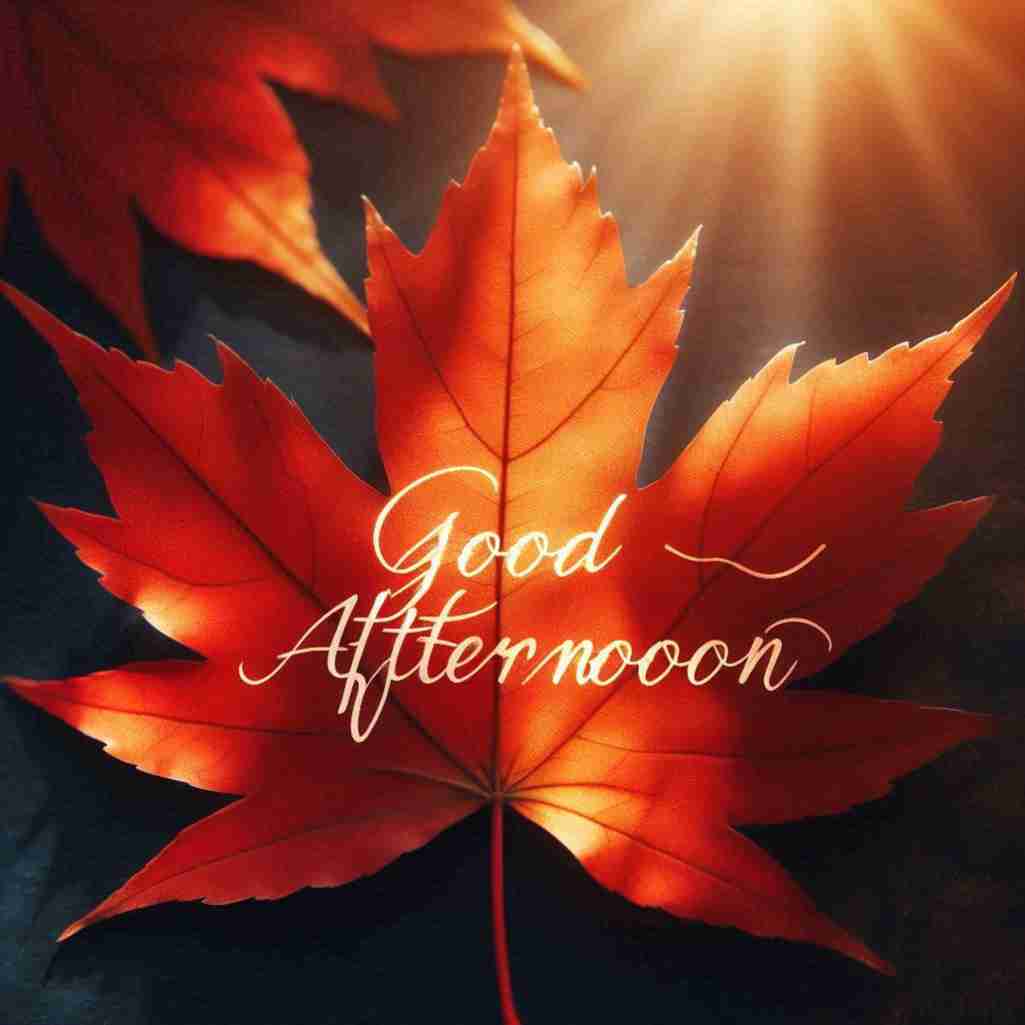 Good Afternoon Leaf Image