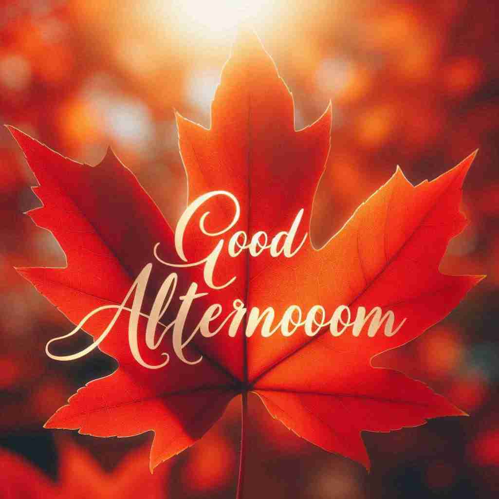Good Afternoon Leaf Image