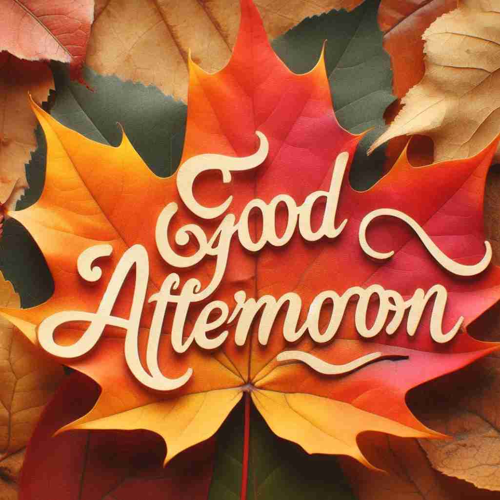 Good Afternoon Leaf Image