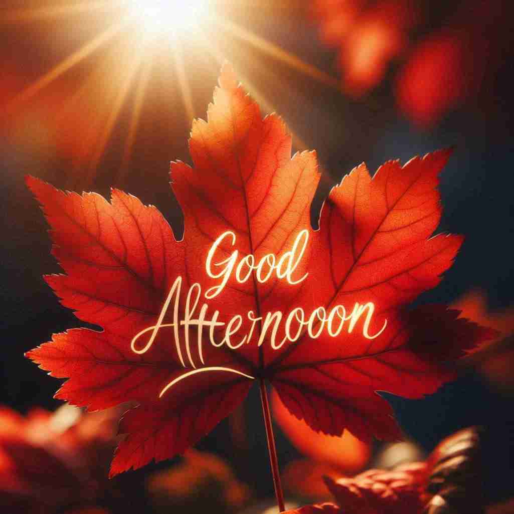 Good Afternoon Leaf Image