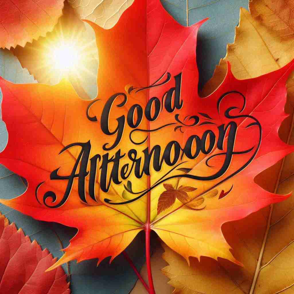 Good Afternoon Leaf Image