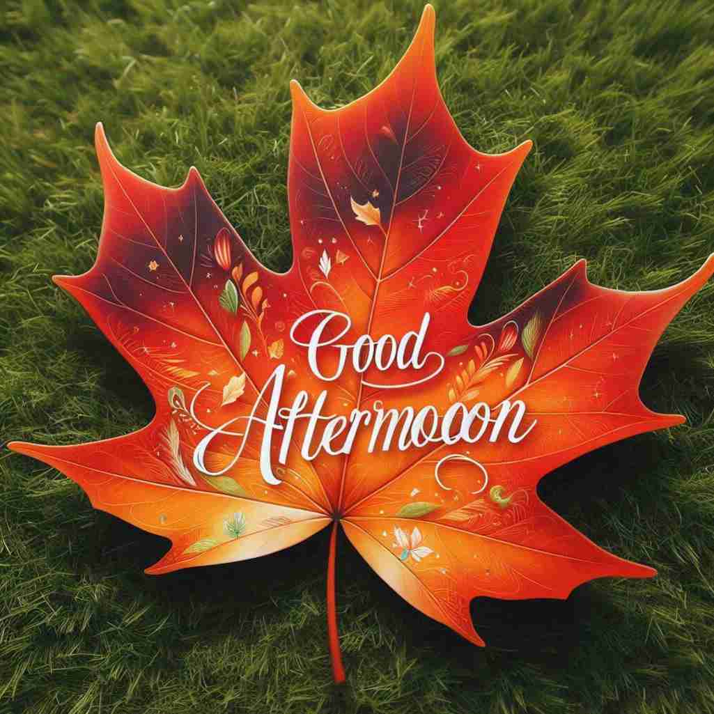 Good Afternoon Leaf Image