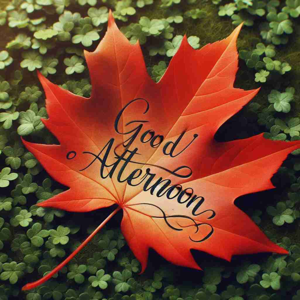 Good Afternoon Leaf Image