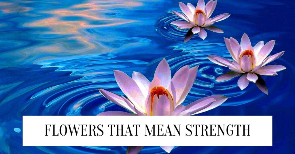 15 Gorgeous Flowers That Mean Strength (2024) Flowers That Mean Strength