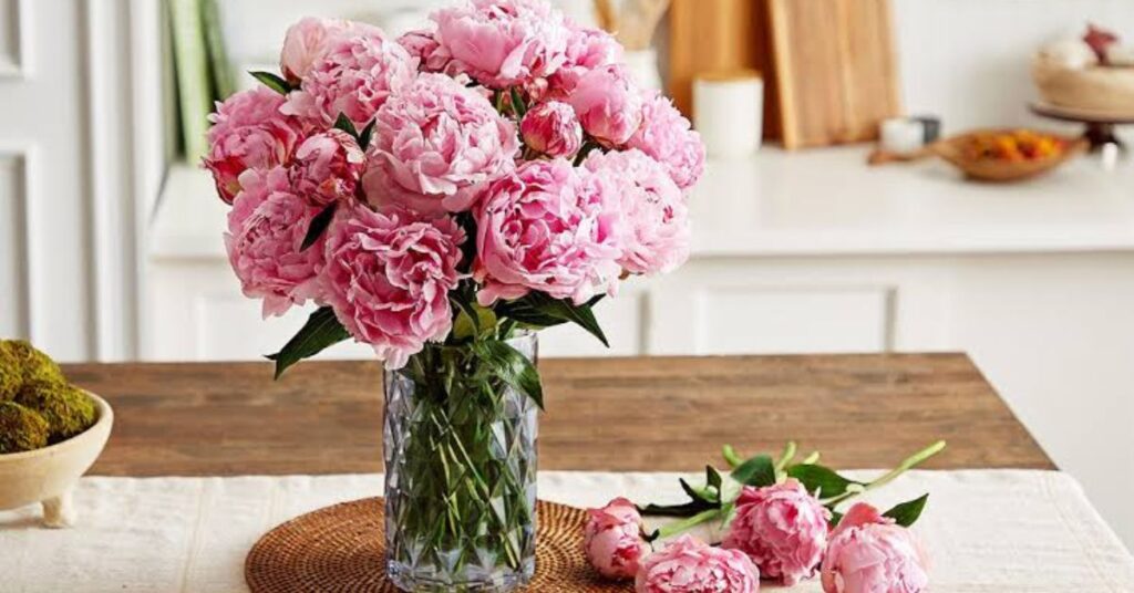 Peony
