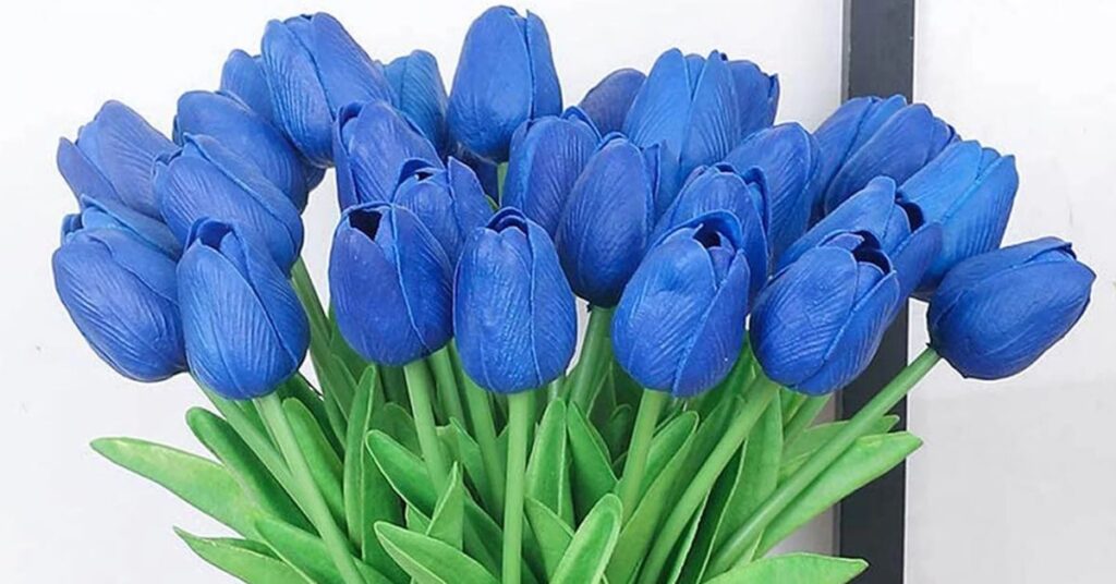 Blue Tulips on Graduation