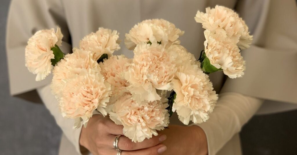 Celebrations With Carnation Flower