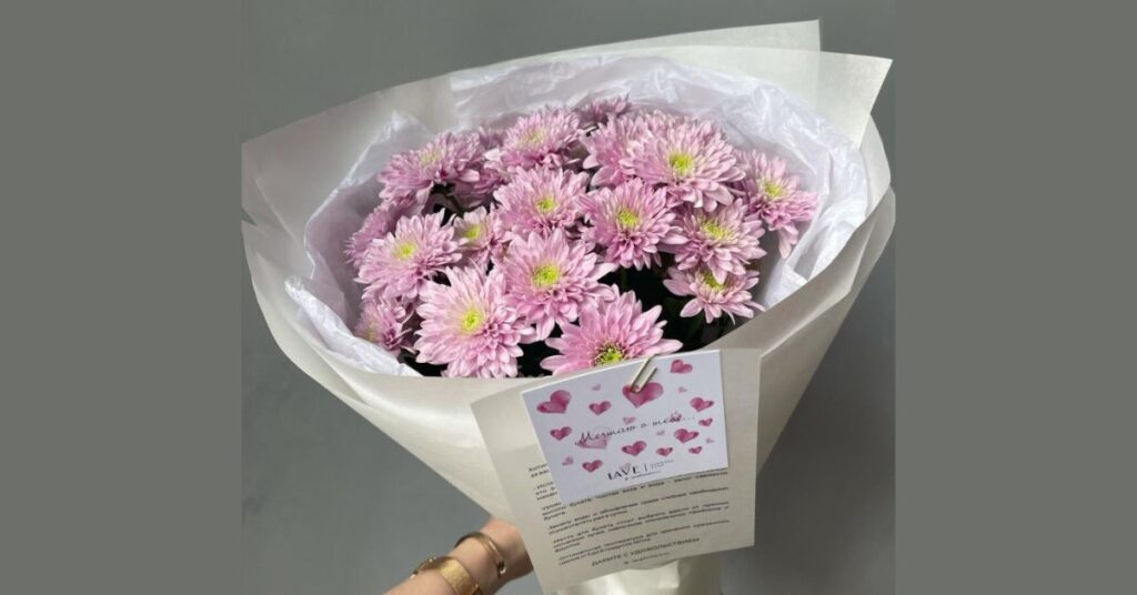 Chrysanthemum