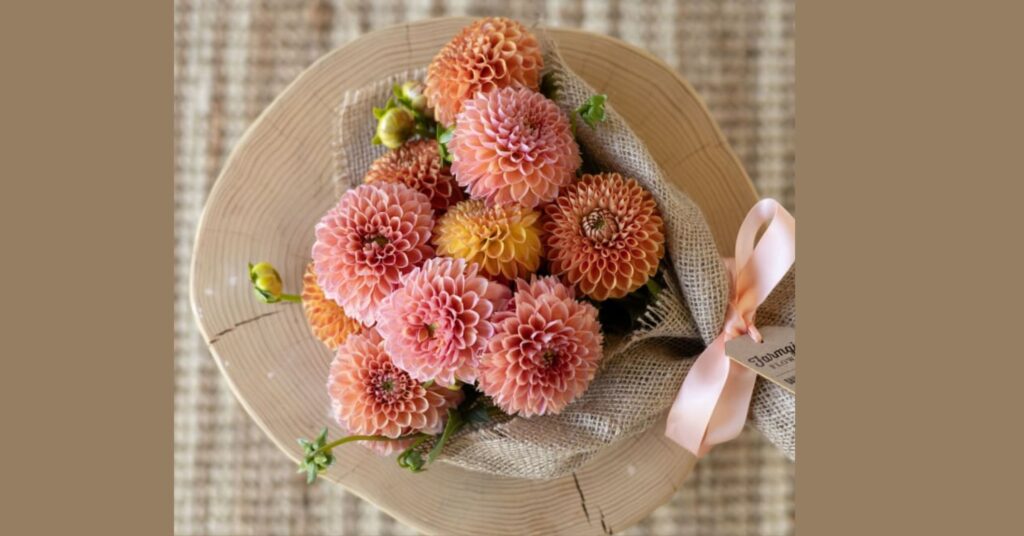 Dahlia Flower Proper Occasions