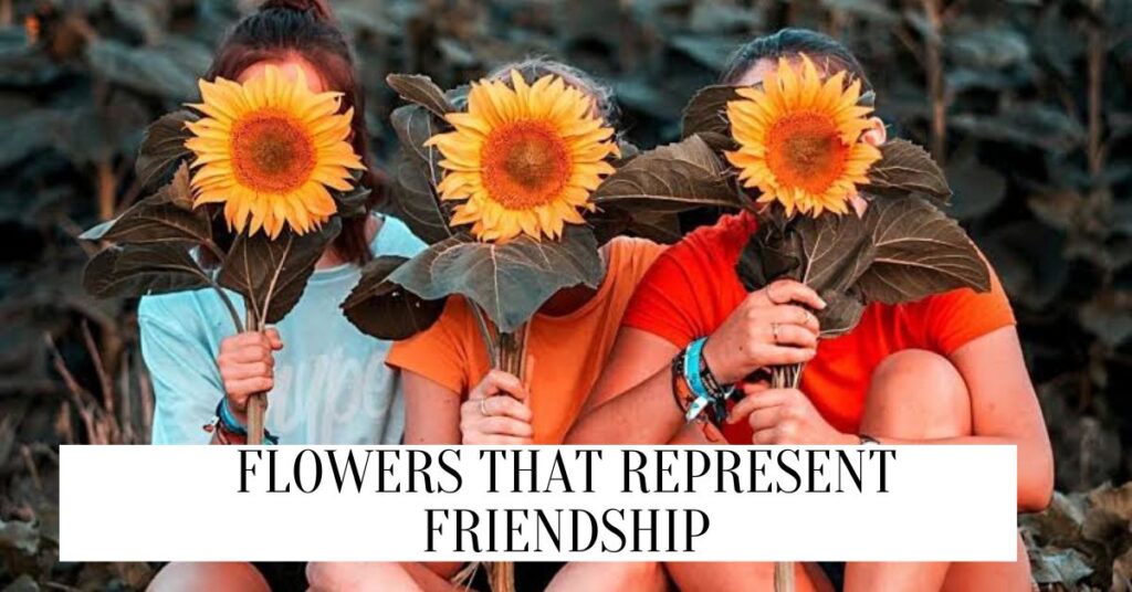 20 Popular Flowers That Represent Friendship (2024) Flowers That Represent Friendship