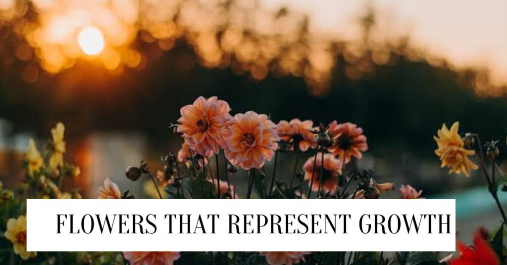 Flowers That Represent Growth