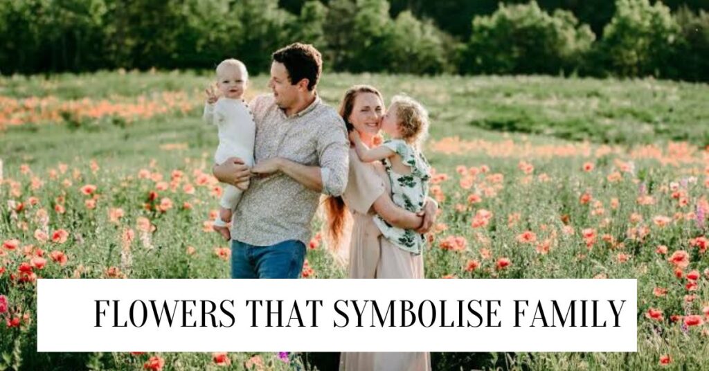 Top 11 Flowers That Symbolize Family Flowers That Symbolize Family
