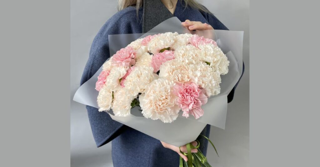 Historical Significance of Carnation Flower