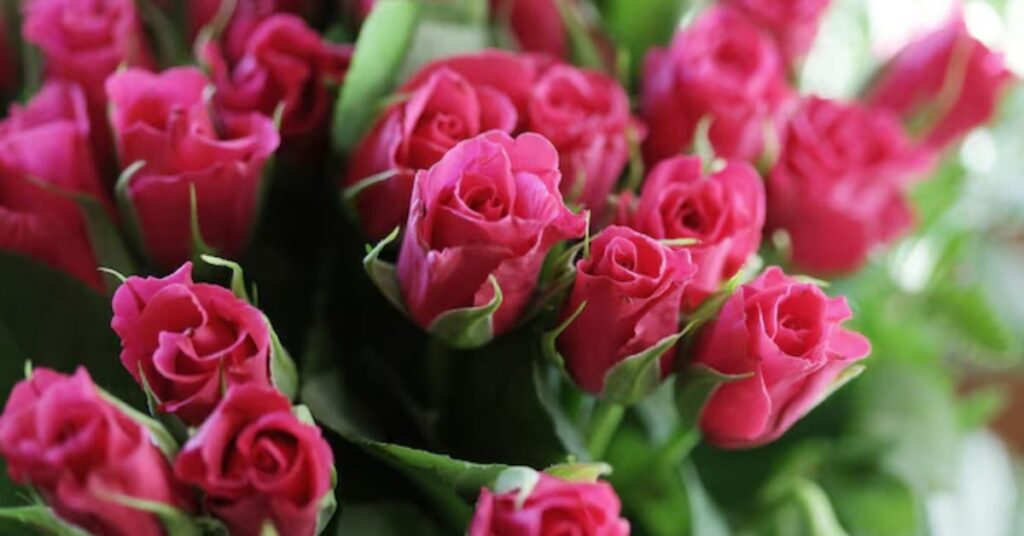 Rose that mean thank you
