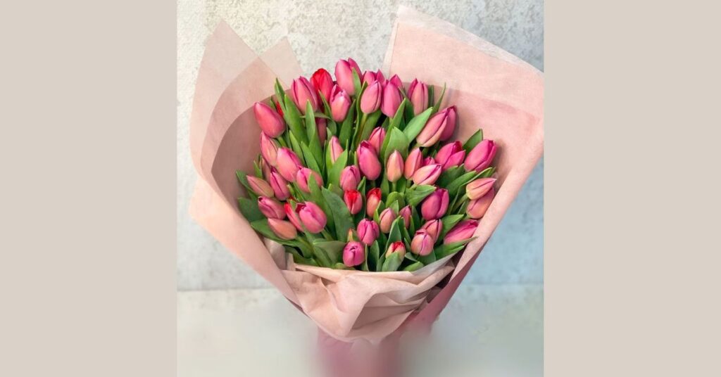 Tulip