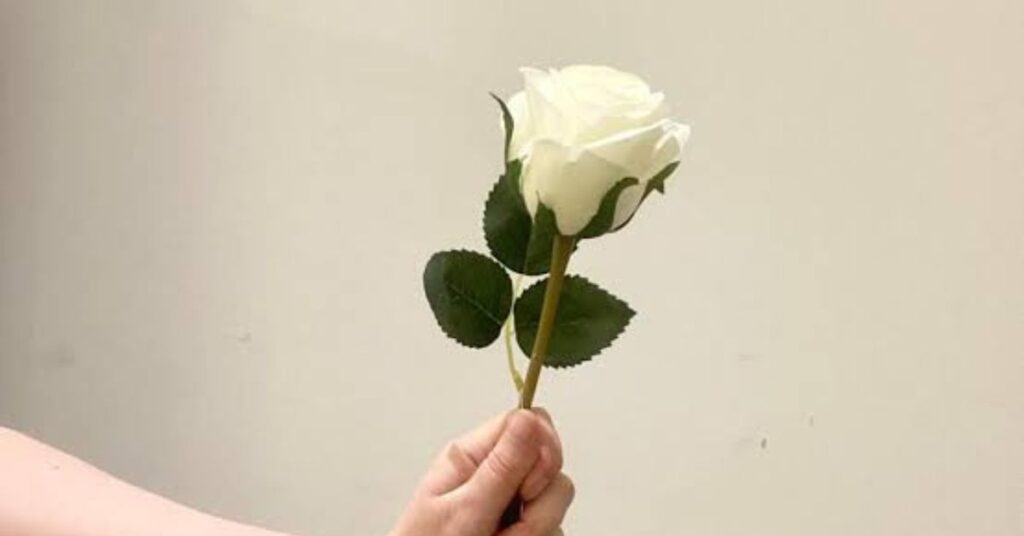 White Rose