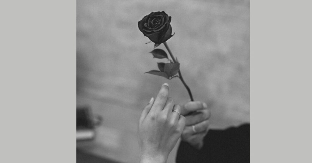 Black Rose