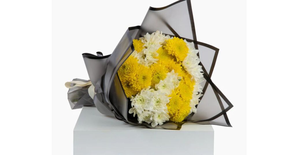 Chrysanthemum (White-Yellow)