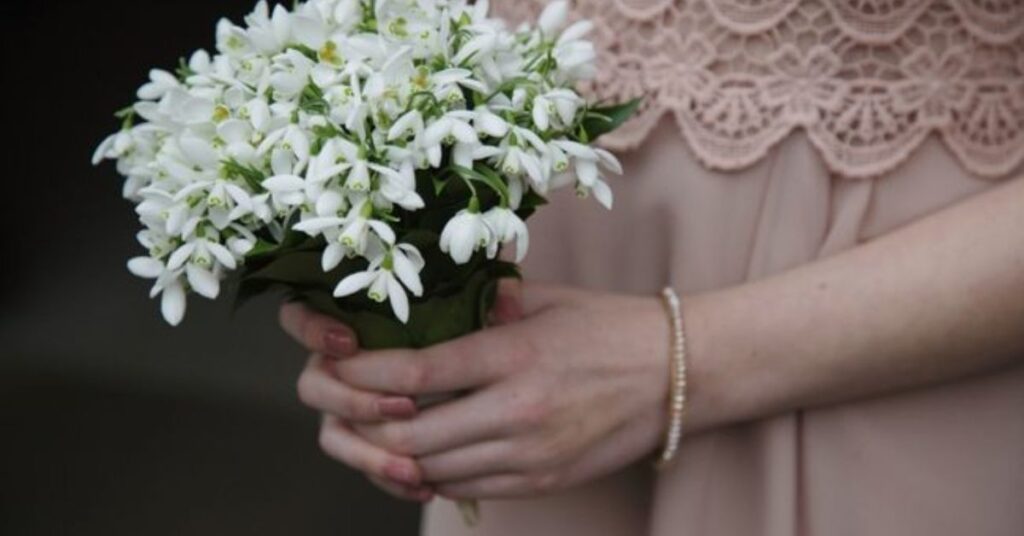snowdrop flowers in Romanian legend