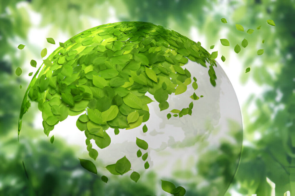 Sustainable Eating