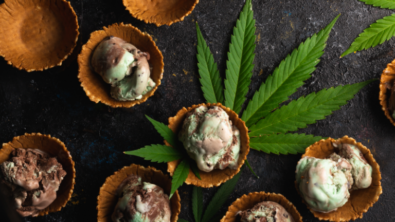 How To Use Cannabis Correctly Any Time of Day: Tips for All-Day Benefits Use Cannabis Correctly Any Time of Day