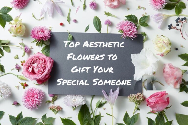 The Most Aesthetic Flowers to Gift Your Special Someone The Most Aesthetic Flowers to Gift Your Special Someone