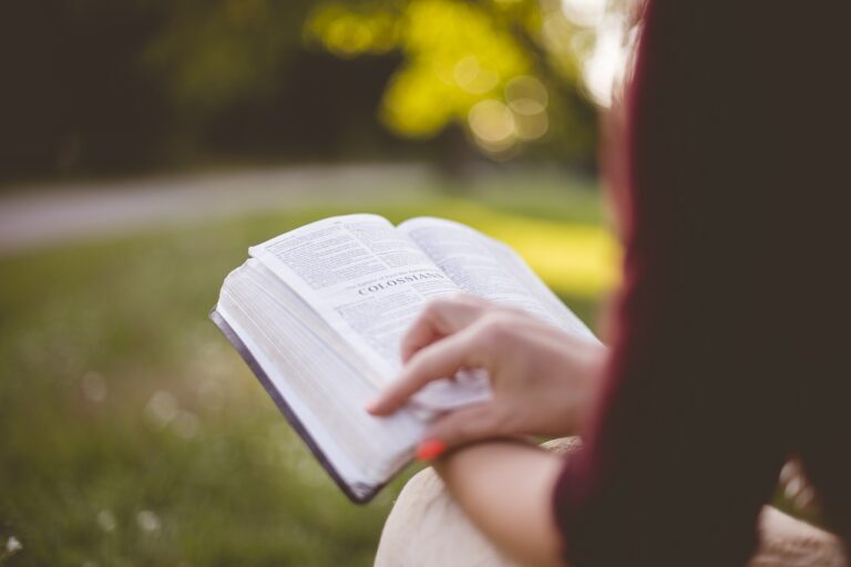 The Best Higher Education LMS for Colleges & Universities Best Higher Education LMS