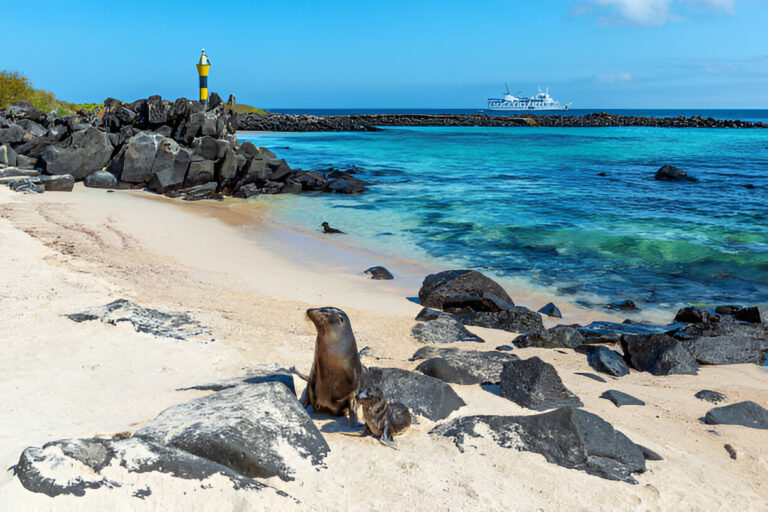 Tips for Booking Your Dream Galapagos Vacation Tips for Booking Your Dream Galapagos Vacation