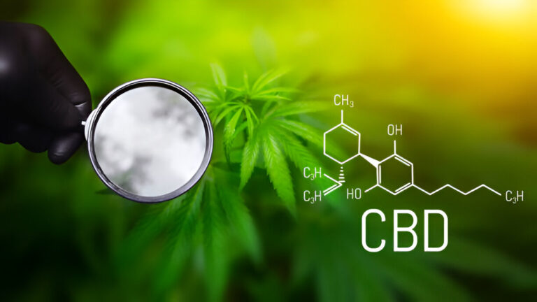 CBD Bud Explained: Benefits, Uses, and What to Look For When Buying CBD Bud Explained: Benefits, Uses, and What to Look For When Buying