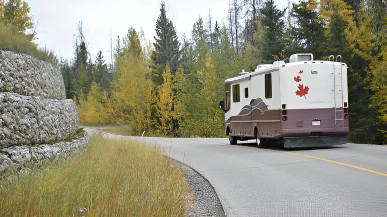 A Seasonal Maintenance Guide